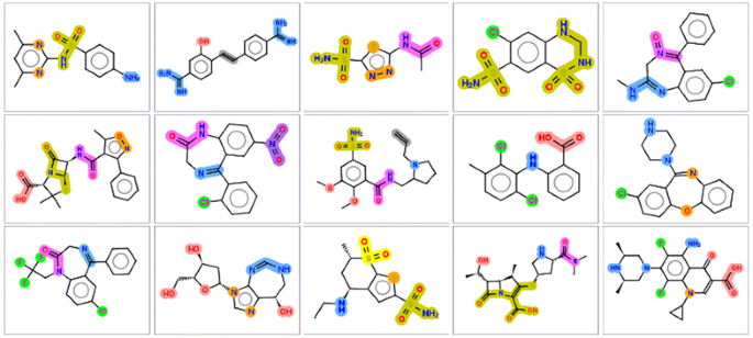 compounds are fundamental organic molecules