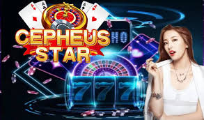 cepheus star casino